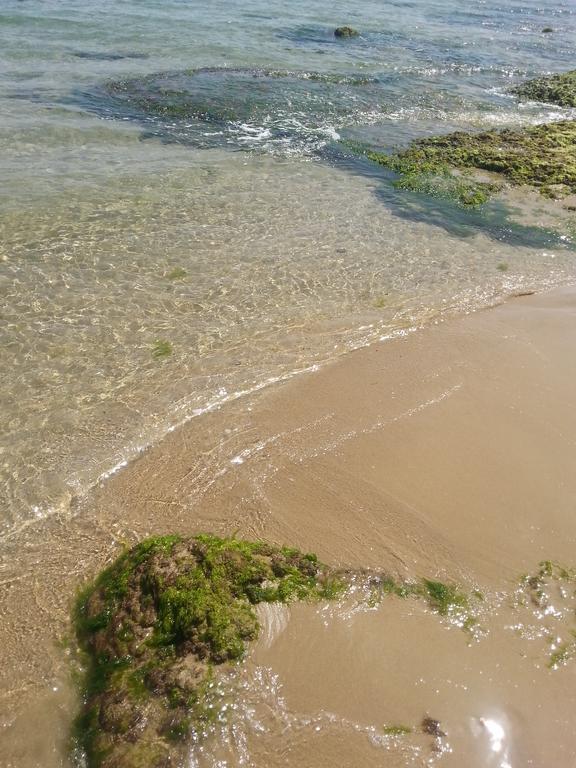 Corte Dei Messapi Torchiarolo Dış mekan fotoğraf